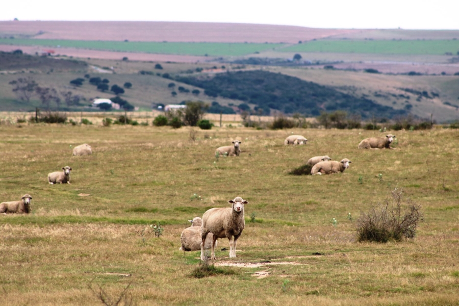  Bedroom Property for Sale in Mossel Bay Rural Western Cape